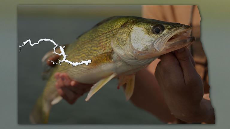 Walleye with ND map overlaid showing Lake Sakakawea