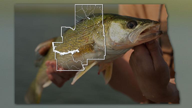 Walleye with map of NC fishing district overlaid