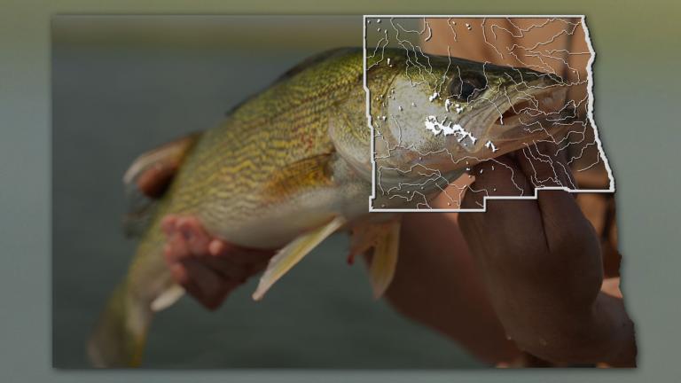 Walleye with map of ND overlaid and showing the areas covered in this video.