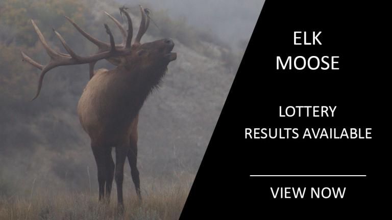 View the Moose and Elk Lottery Results
