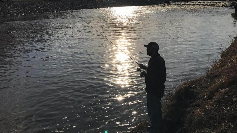 Angler shorefishing
