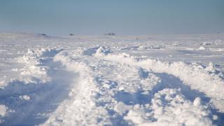 Tracks on frozen lake