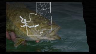 Fish with map overlay of NC district