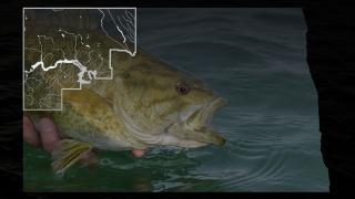 Fish with NW fisheries district map overlay