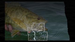 Fish with map of SC district overlayed