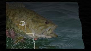 Fish with SW district map overlay