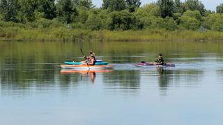 Three people kayaking