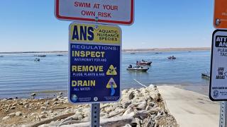 ANS sign at boat dock