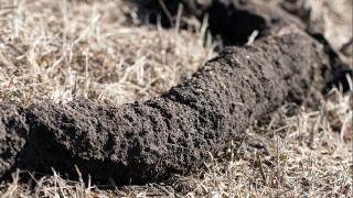 Dirt Tube