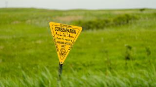 PLOTS sign in green field