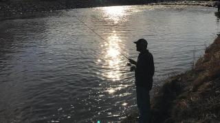 Angler shorefishing