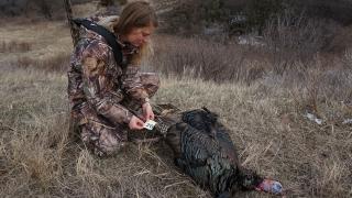 Cayla tagging a turkey she harvested