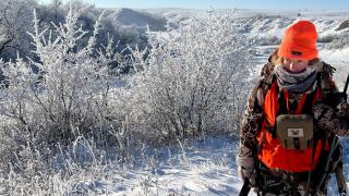 Cayla hunting in snow