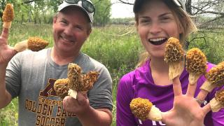 Post author (right) and friend with morel mushrooms on their fingers
