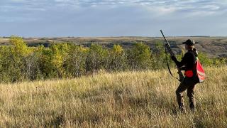 Cayla in a field hunting