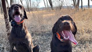 Fischer and Finley