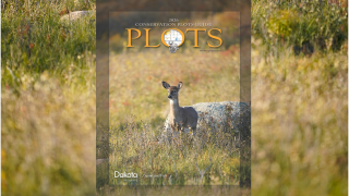 2026 PLOTS guide cover, photo of a whitetail doe in grass