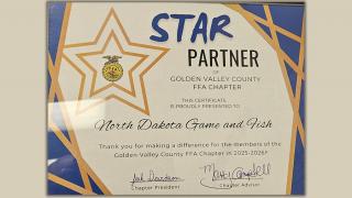 FAA Star Partner award certificate