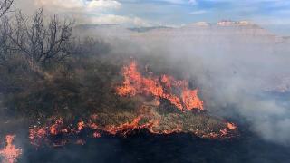 Grassland fire