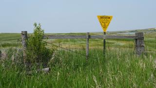Plots sign in field