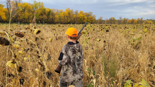 youth in food plot hunting pheasants