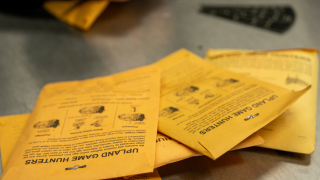 upland game bird wing envelopes
