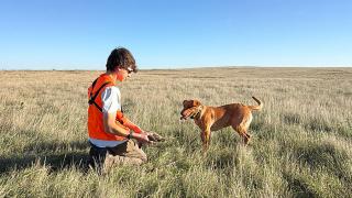 Hunter with dog in the field