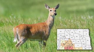 White-tailed deer with EHD map overlaid