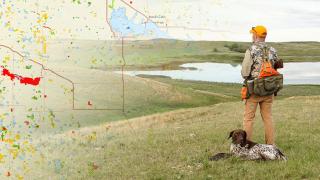 Hunter with dog on the prairie